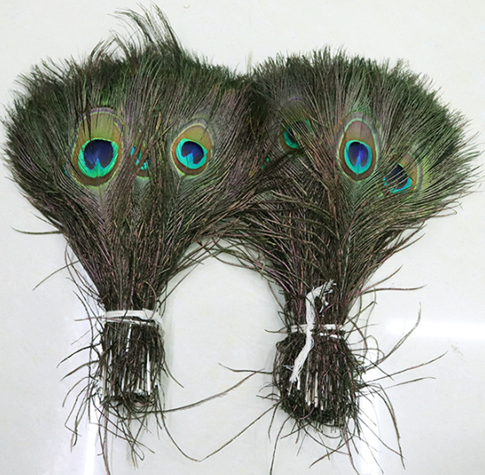 High End Peacock Feathers for Carnival