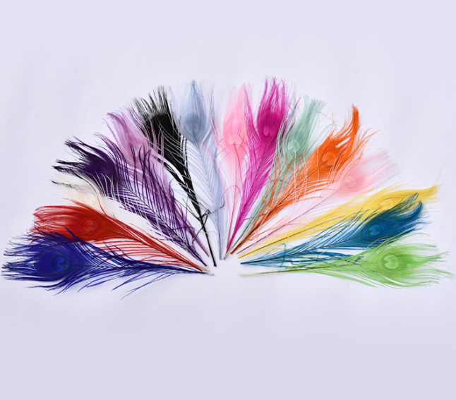 Party Dress Peacock Feather Design