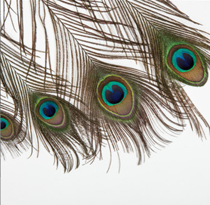 Stage Dress Peacock Feather design