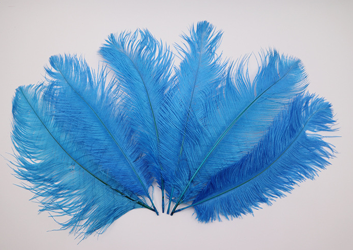 Sky Blue Ostrich Feather for Carnival Dress