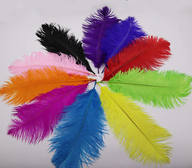 Vintage Ostrich Feather for Hautecouture design